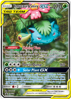 Venusaur & Snivy GX
