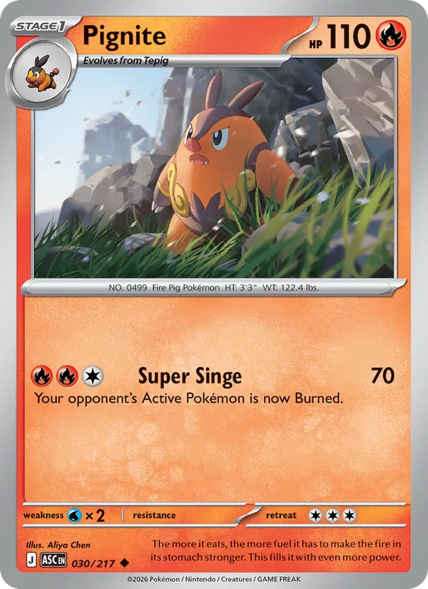 Pignite 030/217 Ascended Heroes