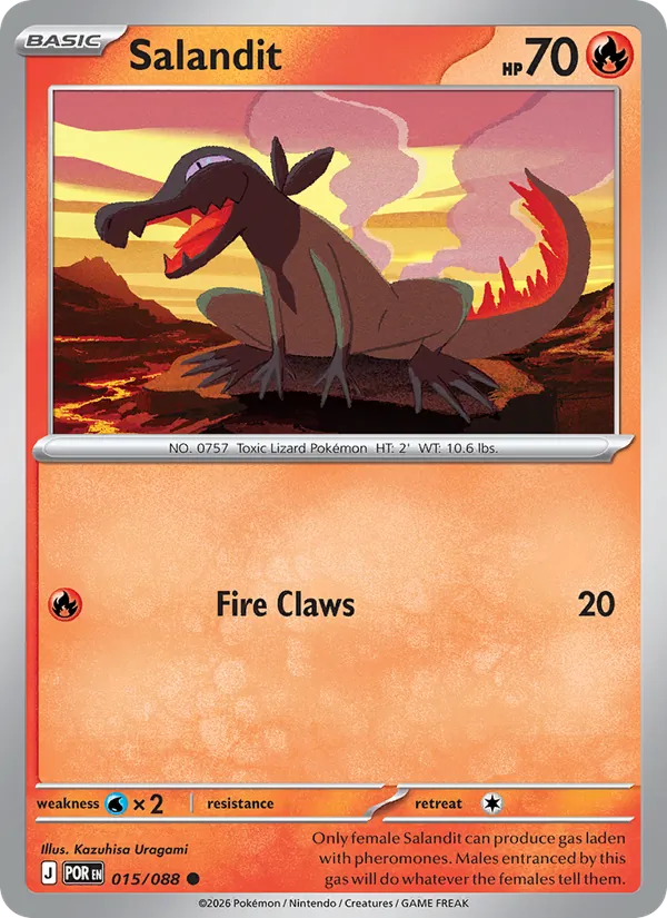 Salandit 015/88 Perfect Order