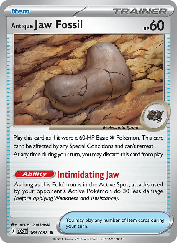 Antique Jaw Fossil 068/88 Perfect Order