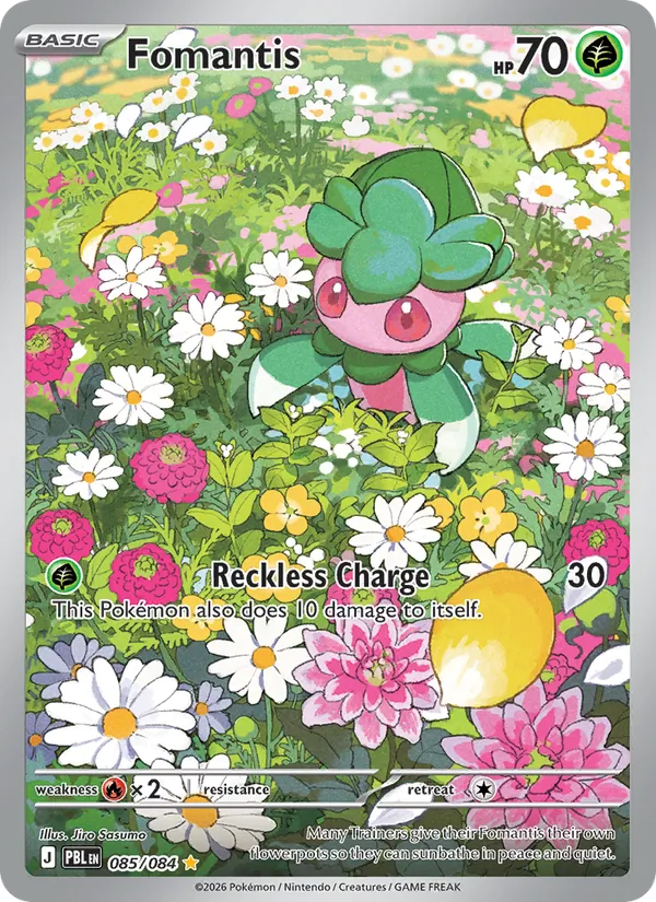 Fomantis 085/84 Pitch Black