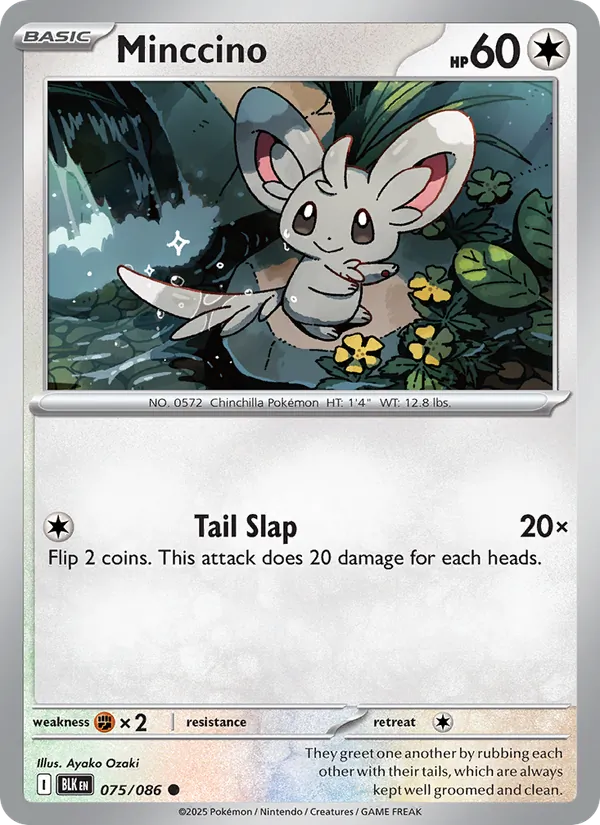 Minccino 075/86 Black Bolt