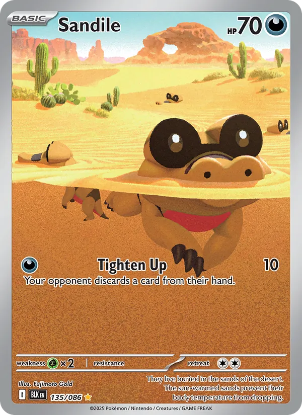 Sandile 135/86 Black Bolt