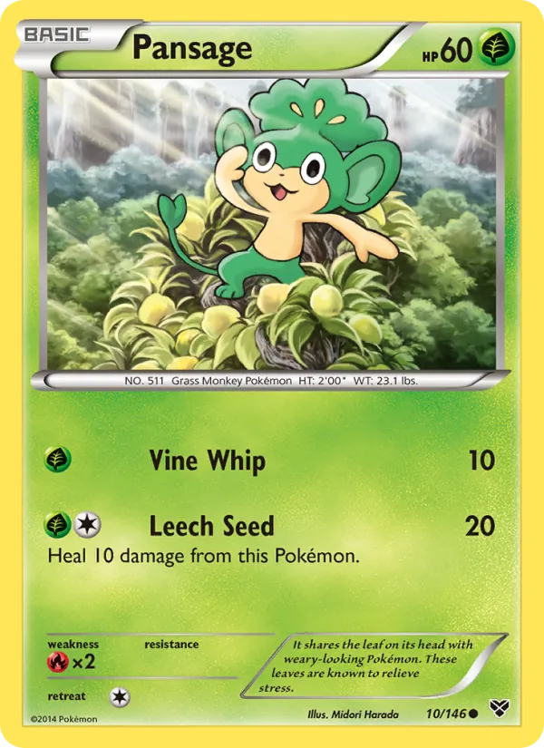 Pansage 10/146 XY