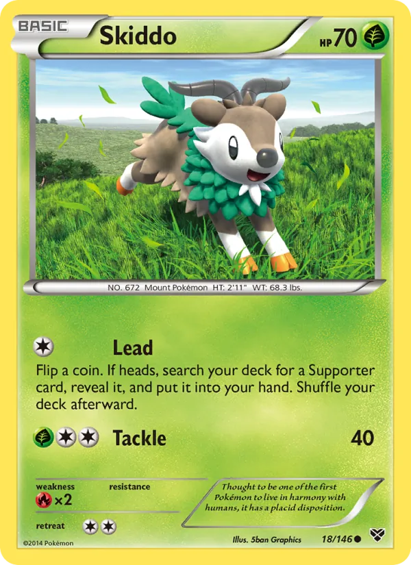 Skiddo 18/146 XY