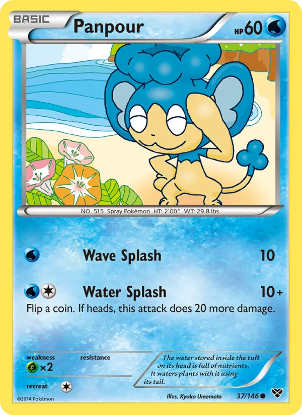 Panpour 37/146 XY