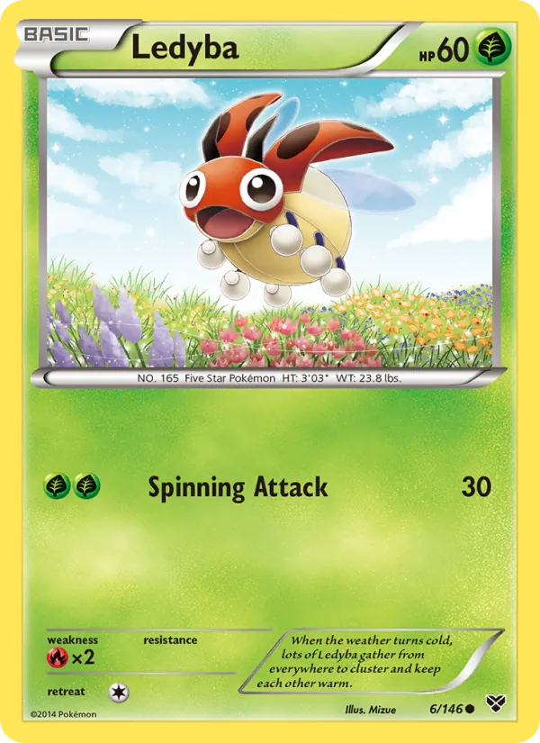 Ledyba 6/146 XY