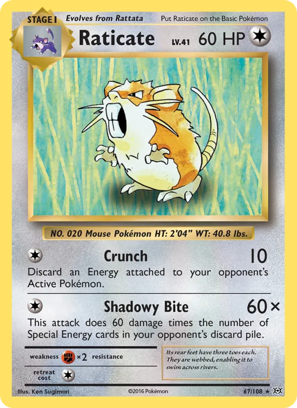 Raticate 67/108 Evolutions