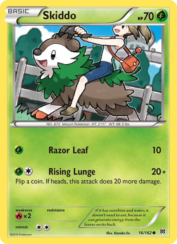 Skiddo 16/162 BREAKthrough