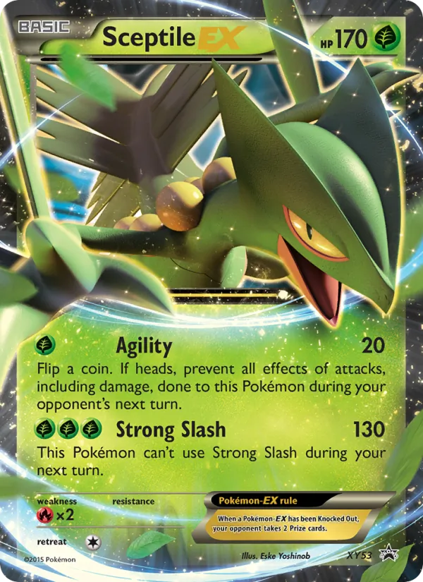 Sceptile EX XY53 XY Black Star Promos